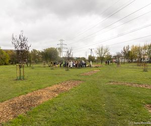 Park na osiedlu Prędocinku 