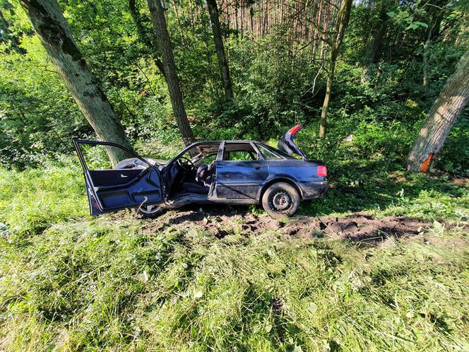 Kamieńczyk. Trzech ciężko rannych mężczyzn! Ich audi roztrzaskało się o drzewo na DK nr 62 [ZDJĘCIA]