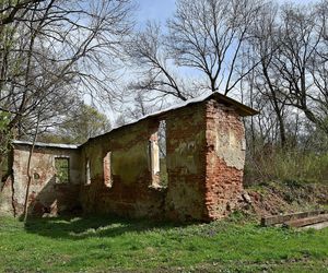 Siedliska-Bogusz. W XVI wieku właścicielami tej wsi na Podkarpaciu byli Kasper, Melchior i Jan. Nieco później władanie przejął burgrabia krakowski