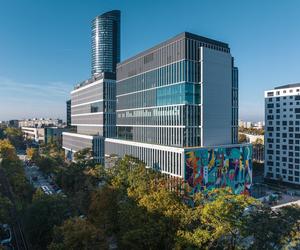 Największy mural we Wrocławiu - zdjęcia. Ma 720 m2 i oczyszcza powietrze