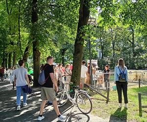 Dożynki Miejskie i Święto Chleba Poznań 2023