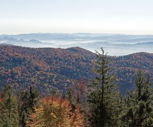 To miejsce w Małopolsce najpiękniej wygląda późną jesienią według AI. Ma status kultowego