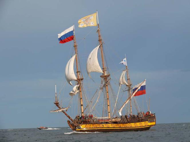 ParadaZagleGdyni2014_FotMZwierz_710339