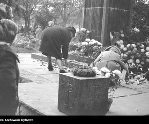 Cmentarze Powązkowskie - 1946-1963