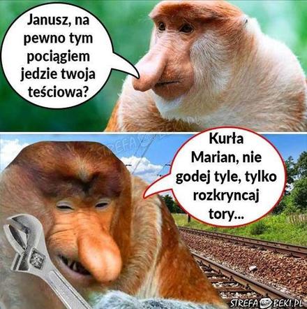 Memy na Dzień Teściowej 2025 [GALERIA]