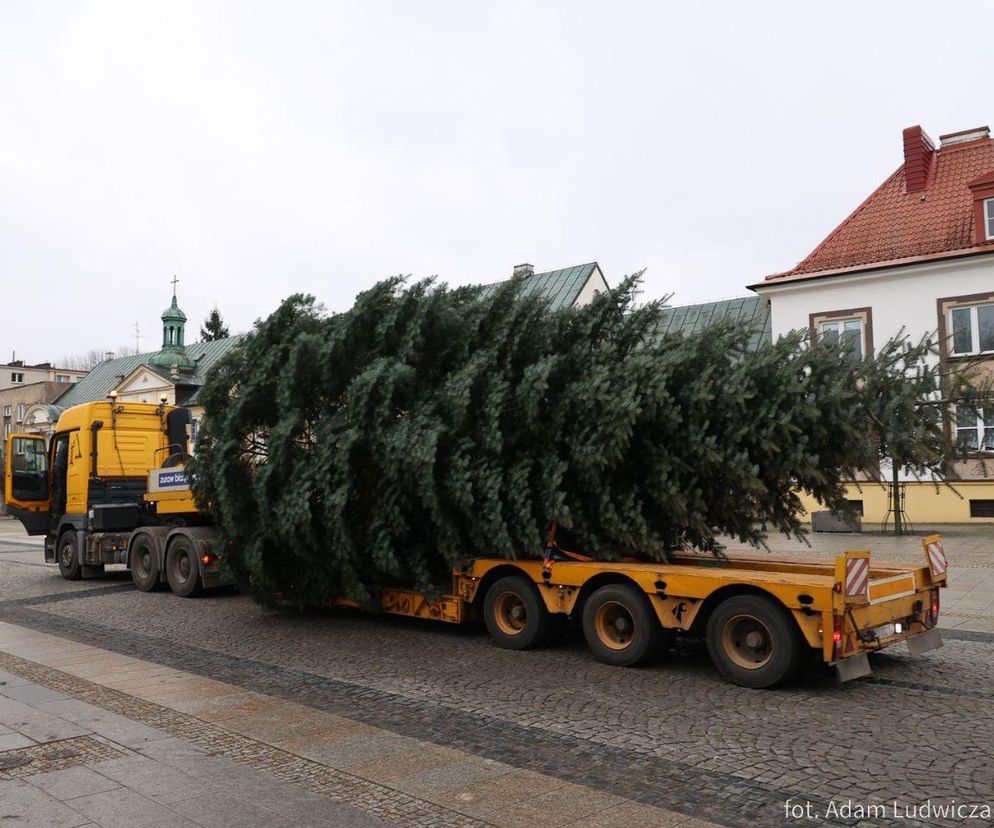 Świąteczna choinka pojawiła się na Rynku Kościuszki! Białystok niemal gotowy na Boże Narodzenie