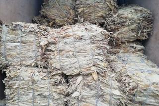 Leżajsk. Kryminalni skonfiskowali ponad tonę nielegalnego tytoniu