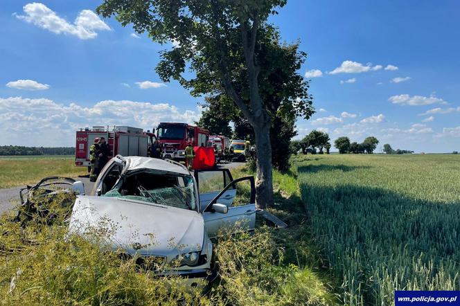 Nie żyje pasażer bmw, a kierowca walczy o życie! Auto roztrzaskało się o drzewo pod Działdowem [ZDJĘCIA]