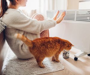 Pokrój i połóż wieczorem na kaloryferze. Rano w całym mieszkaniu będzie pięknie pachnieć. Domowy zapach do pokoju na zimę 