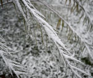 Śnieg w Przemyślu