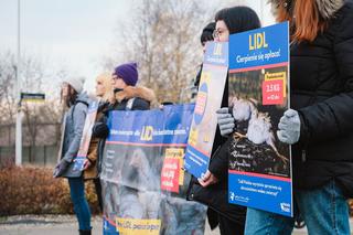 Kurczaki z Lidla mają tajemniczą chorobę. Protest przeciw sprzedaży w Katowicach