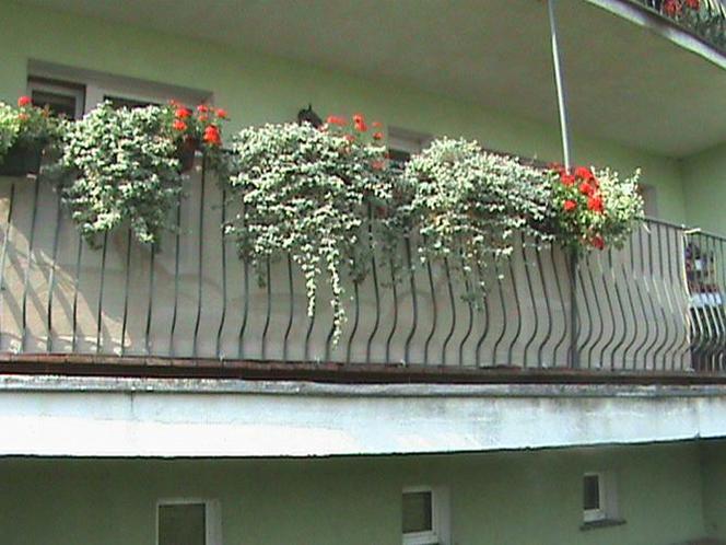 balkon z przodu zdjecie nr 1