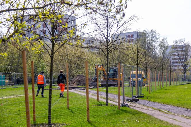 Budowa Skweru Krasińskiego na Żoliborzu w Warszawie