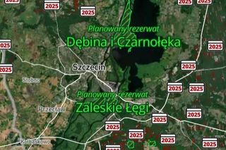 Mapa wycinki lasów 2025 - woj. zachodniopomorskie