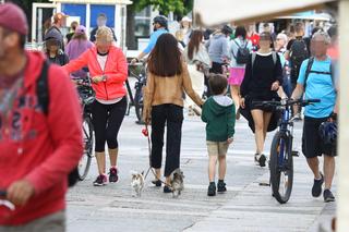  Synek Kaczyńskiej uczy się na stratega