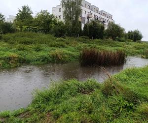 Dolny Śląsk szykuje się na wielką wodę. Strażacy układają worki z piaskiem