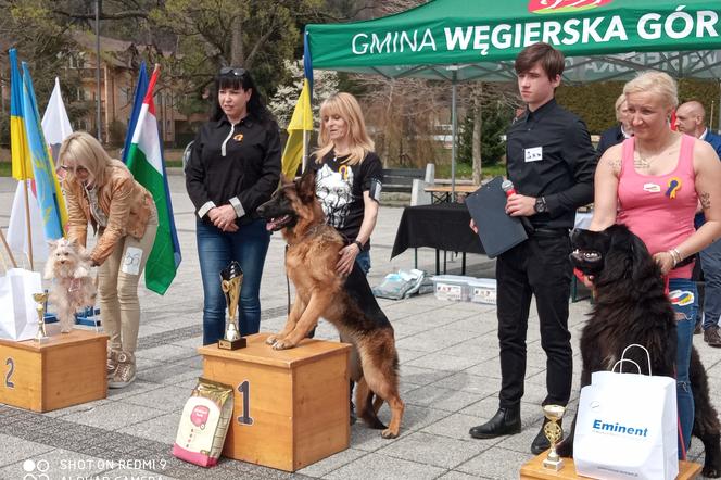 charytatywna wystawa psów rasowych w Węgierskiej Górce