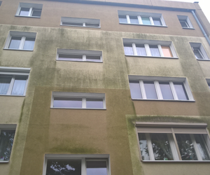 Tynki zewnętrzne – jak je ochronić przed mikroorganizmami i glonami