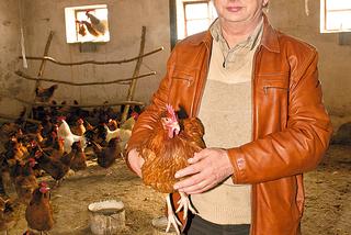 Marian Ryszewski ze Straszewa: Moja kura znosi mikrojaja