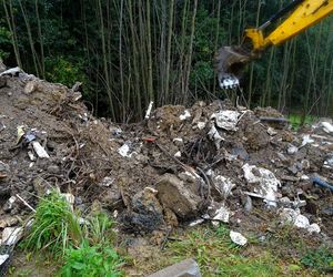 Niebezpieczne odpady zakopane pod lasem na Dolnym Śląsku. WIOŚ złożył zawiadomienie do prokuratury 