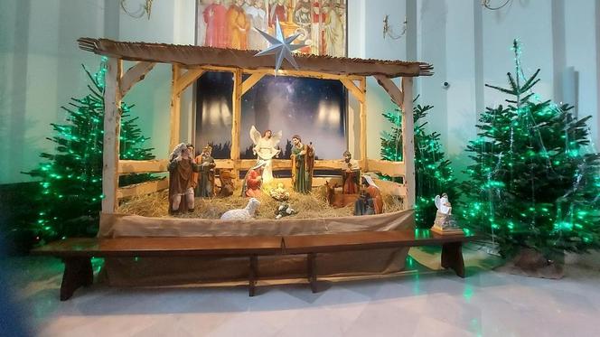 Szopki Bożonarodzeniowe - Stare Miasto Zamość