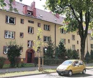 Gliwice: Zmaltretowanego 4-letniego Ignasia zauważyła Ukrainka. Potem na jaw wyszła szokująca prawda