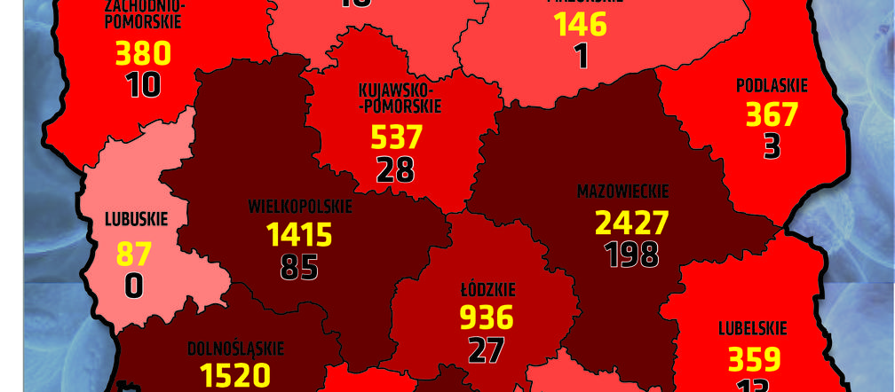 Koronawirus 29.04.2020 r, godz. 18. Zobacz aktualne wykresy i dane!