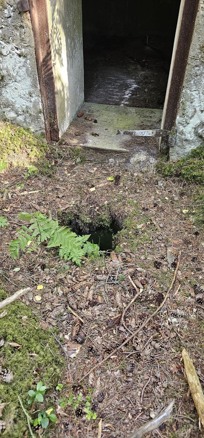 Odwiedziłam jeden z piękniejszych powiatów na Mazurach. To prawdziwy „szlak bunkrowy”