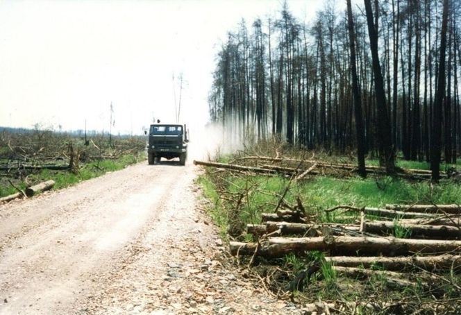 Pożar lasu w Kuźni Raciborskiej w 1992 roku