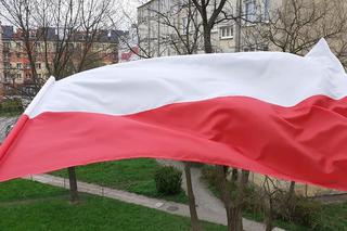 QUIZ: Sprawdź swoją wiedzę o Polsce i symbolach narodowych