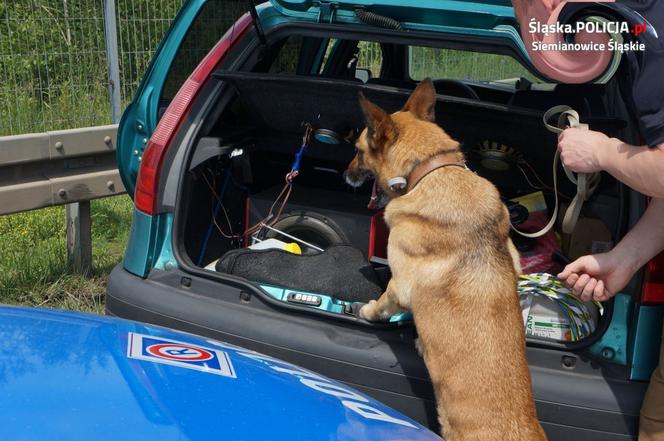 29-latek potrącił dwóch policjantów