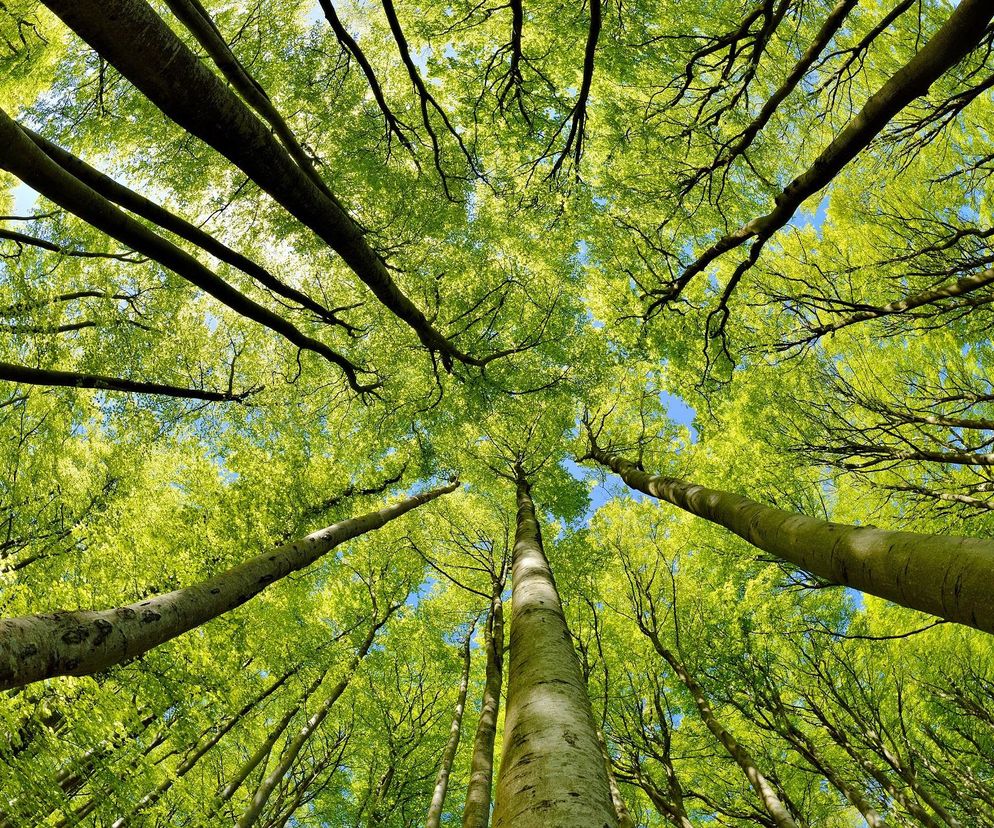 Żyją poza systemem. To kolejny odcinek Polski na ucho