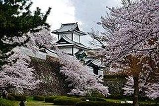 9. Japonia
