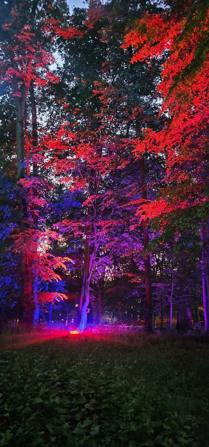 Park Świateł