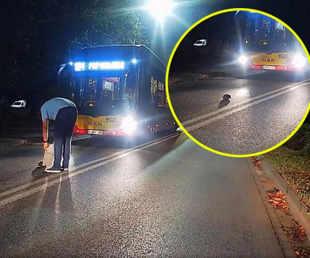  Kierowca autobusu okrzyknięty bohaterem. To, co zrobił na drodze porusza do łez!