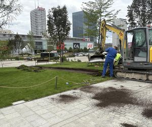 Absurd roku w Warszawie. Zrywają zieleń na nowym pl. Centralnym. Zamiast niej będzie beton