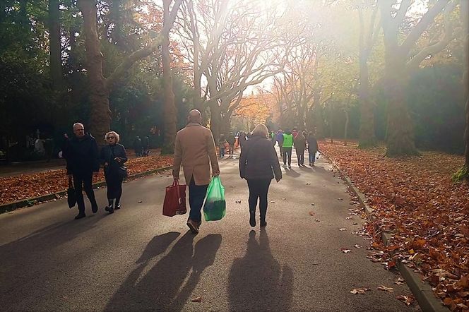 1 listopada na Cmentarzu Centralnym w Szczecinie