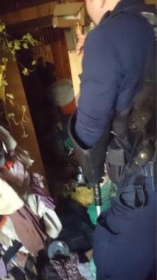 Dom grozy w Łodzi: Dwoje dorosłych i 20 wychudzonych psów żyło w niewyobrażalnym SMRODZIE I SYFIE!