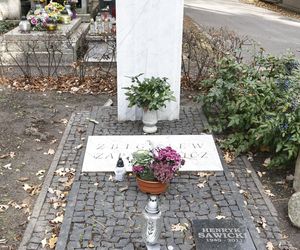 Tak wyglądają groby Zapasiewicza, Tyma, Kołaczkowskiej, Stoparczyk