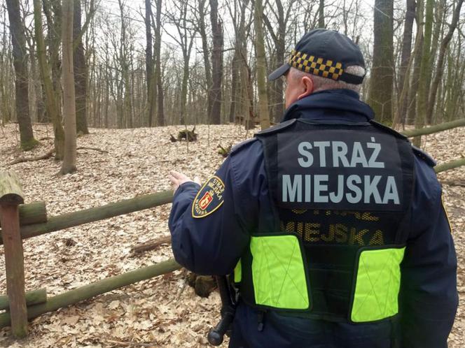 Dzień Wagarowicza. Gdzie świętowała warszawska młodzież?