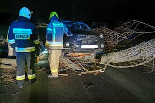Pożar kamienicy w Sopocie. Wiatr przeszkadzał strażakom 