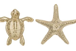 Pap Deco Turtle Seastar XL