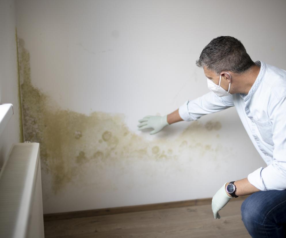 2-latek zmarł przez wilgoć i pleśń na ścianach. Rodzice wcześniej prosili o pomoc