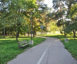 Park Baranowski