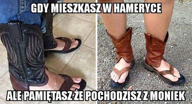 Najzabawniejsze memy o Podlasiu
