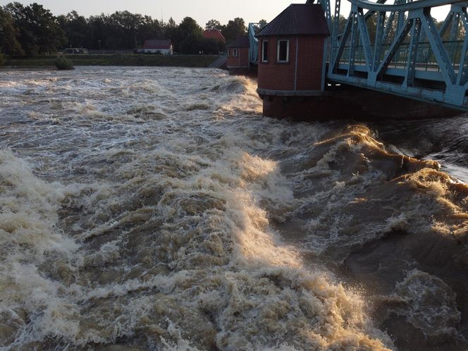 Powódź we Wrocławiu. Tak wygląda Odra w czwartek 19.09.2024 