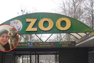 Brak przejrzystości finansowej w poznańskim zoo?
