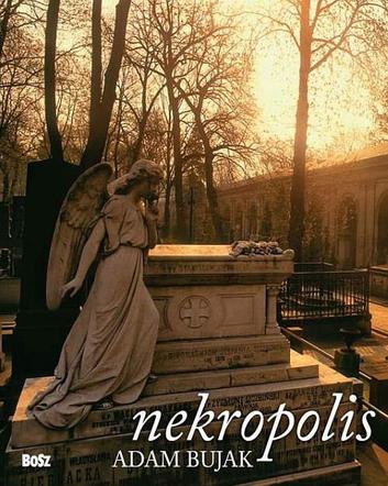 Nekropolis. Adam Bujak fotografuje polskie cmentarze