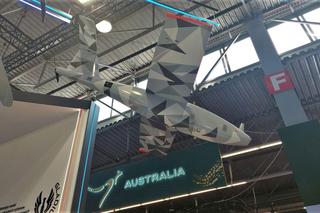 Bezzałogowiec rozpoznawczo-uderzeniowy BSP-U systemu Gladius