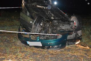 Pijany spowodował wypadek i uciekł! Znaleziono go na polu kukurydzy [ZDJĘCIA]